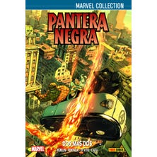 Marvel Collection. Pantera Negra de Hudlin 3