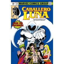 Biblioteca Caballero Luna 2