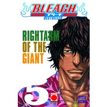 Bleach: Bestseller 5
