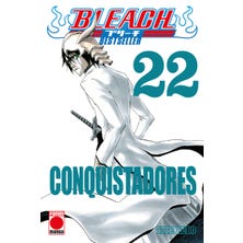 Bleach Bestseller 22