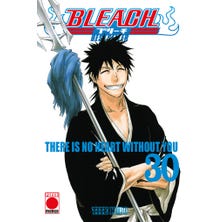 Bleach Bestseller 30