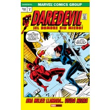 Marvel Gold. Daredevil 4