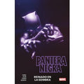 Pantera Negra de Eve Ewing 1
