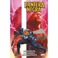 Pantera Negra de Eve Ewing 2