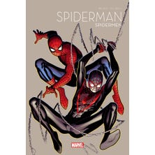 Spiderman 60 Aniversario 9