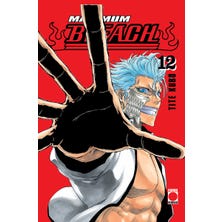 Maximum Bleach 12